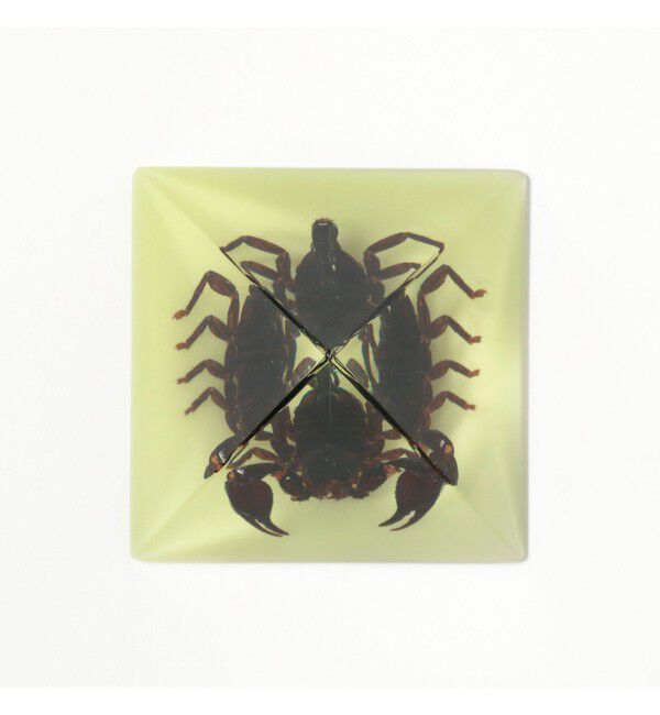 BEAMS「REAL BUG / Pyramid」|その他|