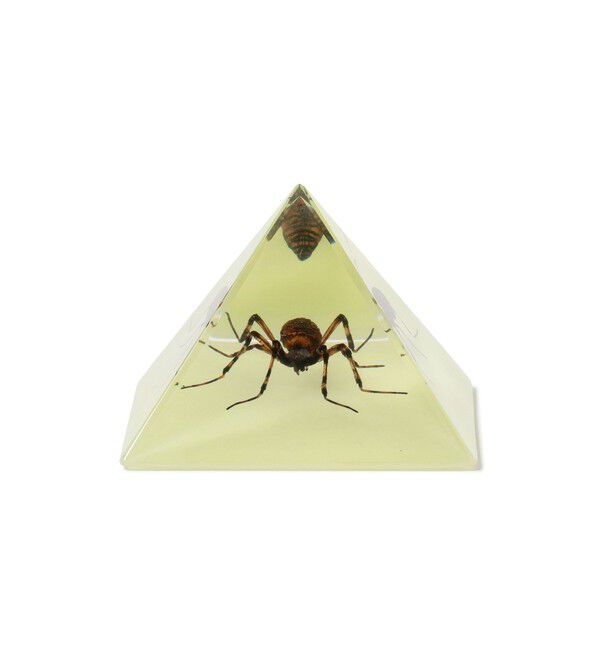 BEAMS「REAL BUG / Pyramid」|その他|