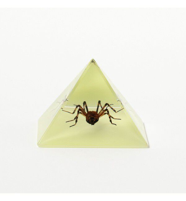 BEAMS「REAL BUG / Pyramid」|その他|