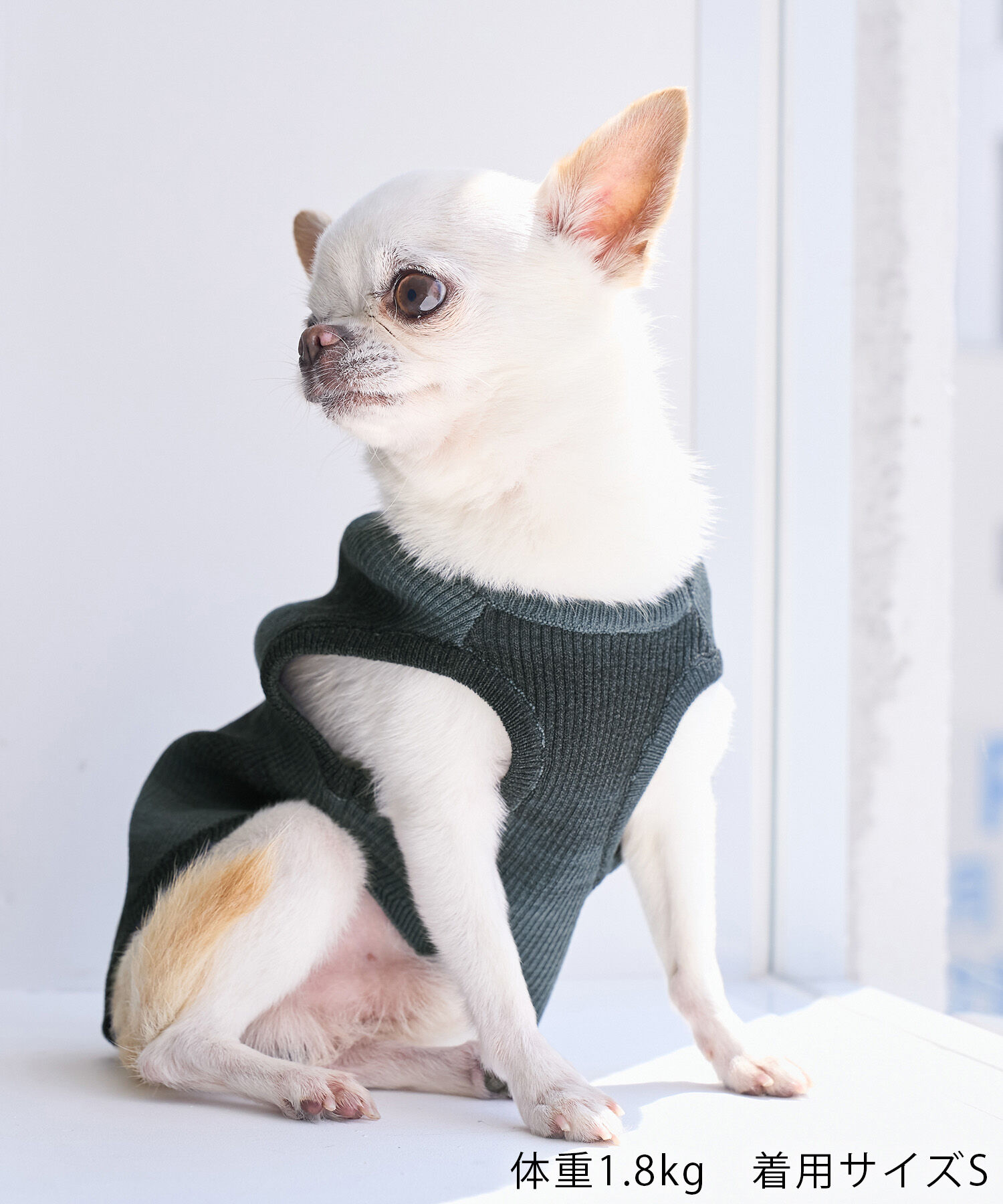 ROPE PICNIC PASSAGE「【DOG】リンクコーデ/ニットタンクトップ」|その他|