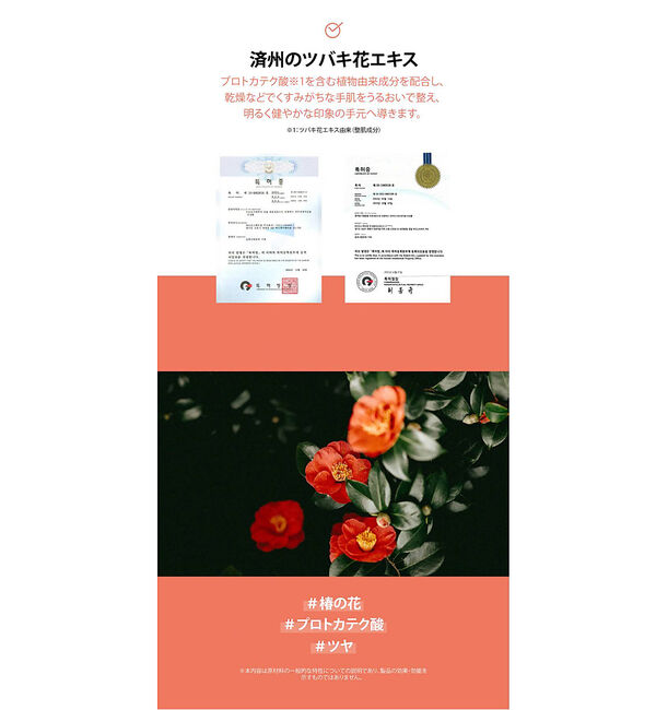 Rouge vif「【FIT YOUR SKIN/フィットユアスキン】ハンドセラム50ml/サボン/」|その他|