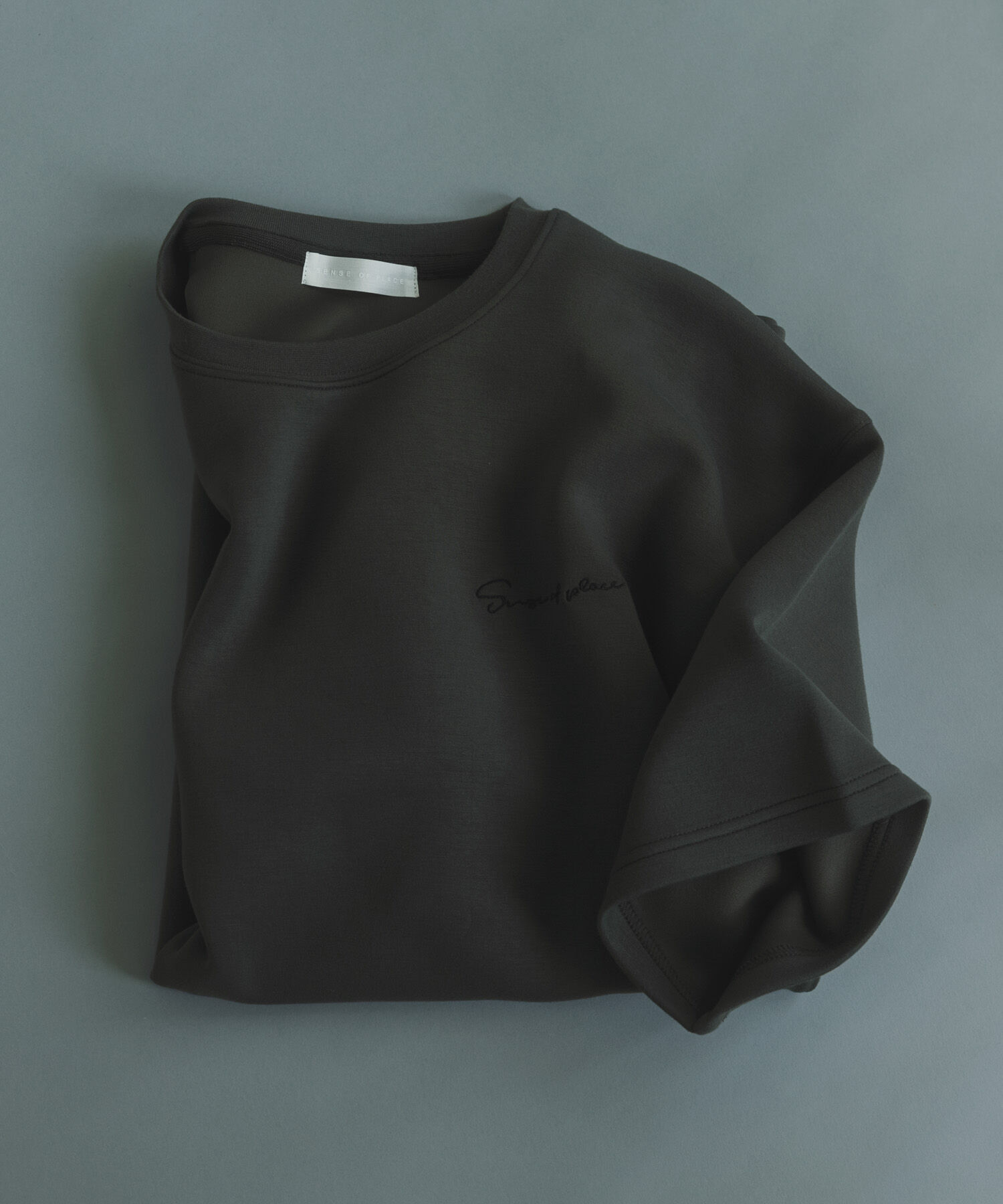 SENSE OF PLACE by URBAN RESEARCH「『一部WEB限定ｶﾗｰ』『接触冷感/速乾』ｼｼｭｳﾀﾞﾝﾎﾞｰﾙﾎﾟﾝﾁ」|Tシャツ・カットソー|チャコールグレー