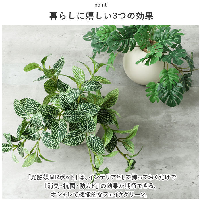 BACKYARD FAMILY「光触媒 フェイクグリーン 通販 イミテーショングリーン 人工観葉植物 インテリアグリーン 中型丸鉢」|その他|