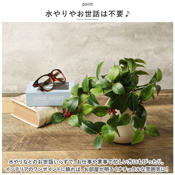 BACKYARD FAMILY「光触媒 フェイクグリーン 通販 イミテーショングリーン 人工観葉植物 インテリアグリーン 中型丸鉢」|その他|