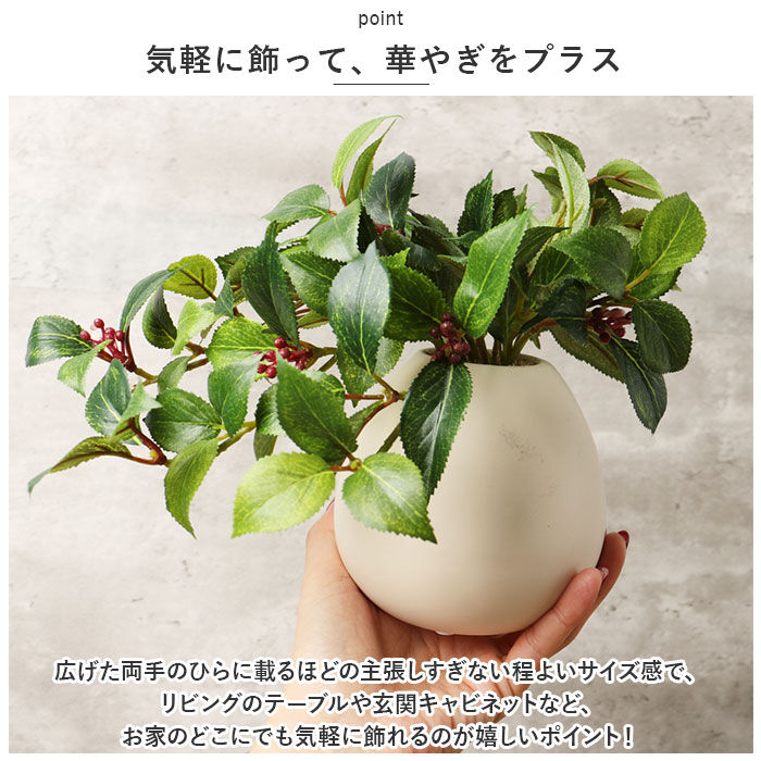 BACKYARD FAMILY「光触媒 フェイクグリーン 通販 イミテーショングリーン 人工観葉植物 インテリアグリーン 中型丸鉢」|その他|