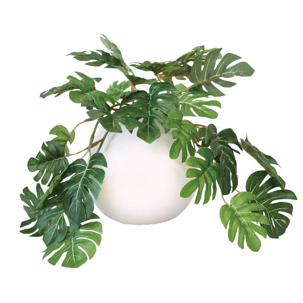 BACKYARD FAMILY「光触媒 フェイクグリーン 通販 イミテーショングリーン 人工観葉植物 インテリアグリーン 中型丸鉢」|その他|ホワイト3