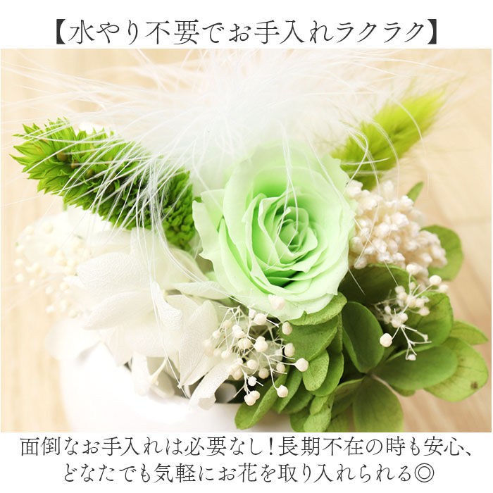 BACKYARD FAMILY「ブリザードフラワ- 通販 フラワーアレンジメント フラワーギフト お花 花 かわいい おしゃれ」|その他|