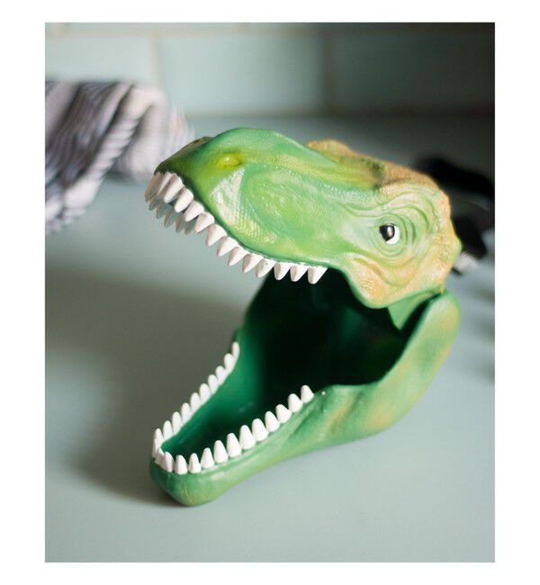 BEAMS「SUCK UK / Dinosaur Case」|その他|