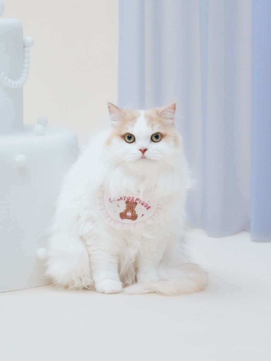  GELATO PIQUE CAT&DOG「【CAT&DOG】【Birthday】スムーズィーバースデースタイ」|その他|