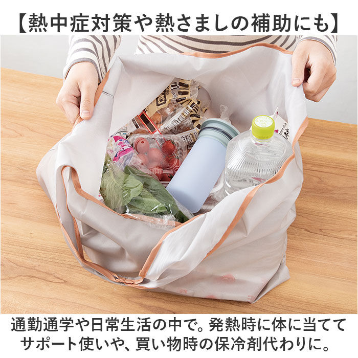 BACKYARD FAMILY「ピーコック 氷嚢 ABB-L30 通販 peacock アイスパック 氷のう アイスバッグ」|その他|