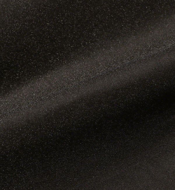 Demi-Luxe BEAMS 「オーガンジー リボンブラウス」|シャツ・ブラウス|