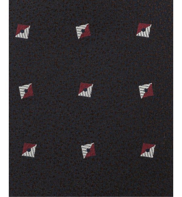 EDIFICE「PB ダイヤコモンタイ」|ネクタイ・蝶ネクタイ|