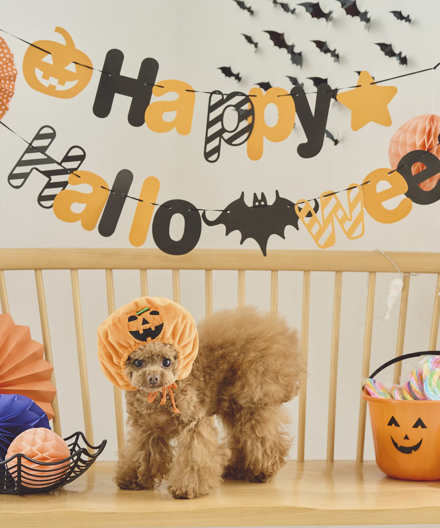 ROPE PICNIC PASSAGE「【DOG】ハロウィンかぼちゃ」|その他|