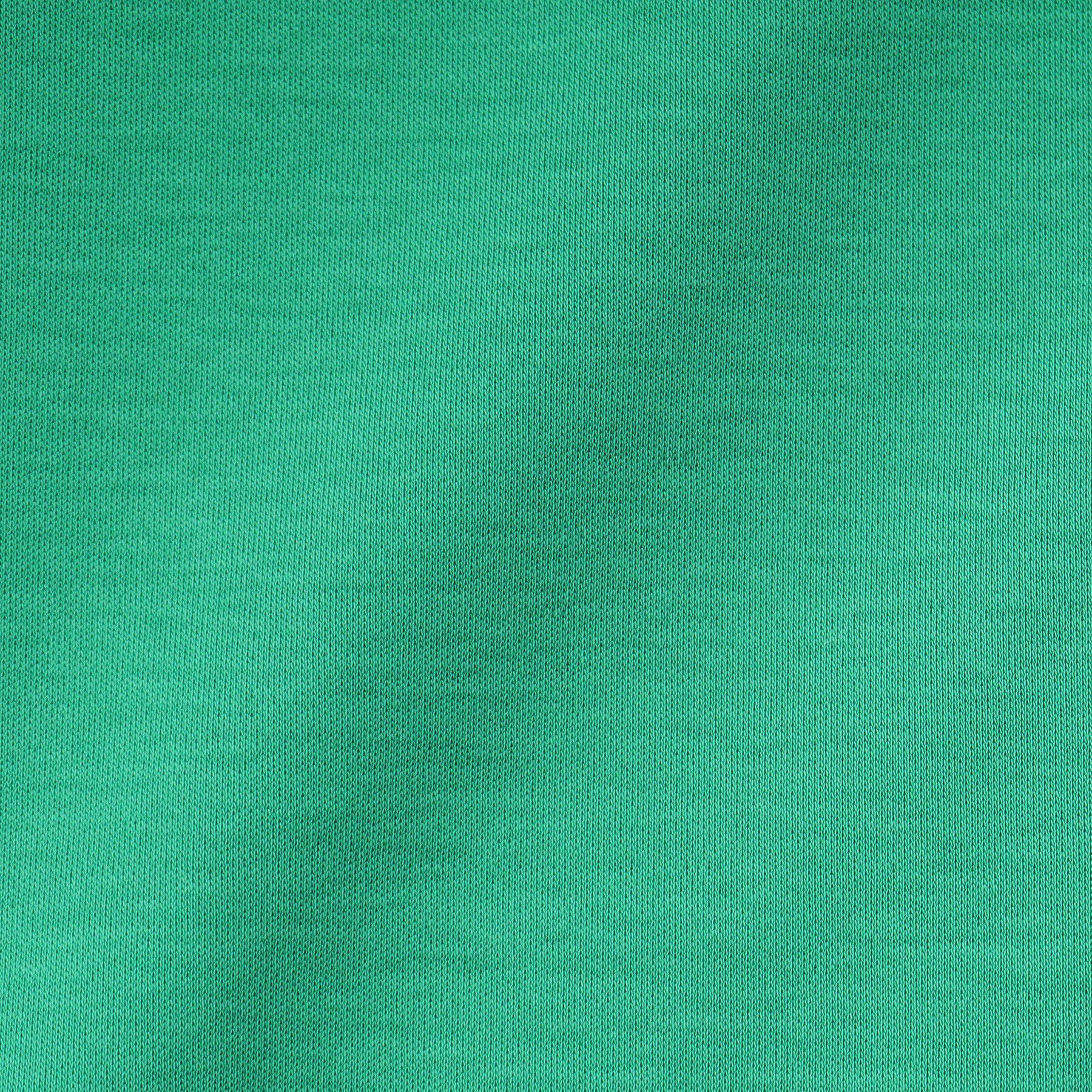 DRESSTERIOR「【接触冷感／抗菌防臭／消臭】ICE CLEAR COTTON ガンラビットTシャツ」|Tシャツ・カットソー|