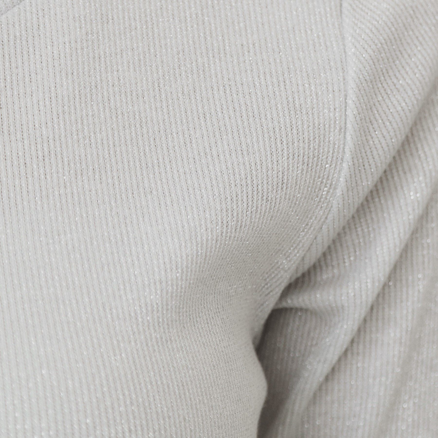 index「ラメリブクルーネックトップス【洗濯機洗い可】」|Tシャツ・カットソー|