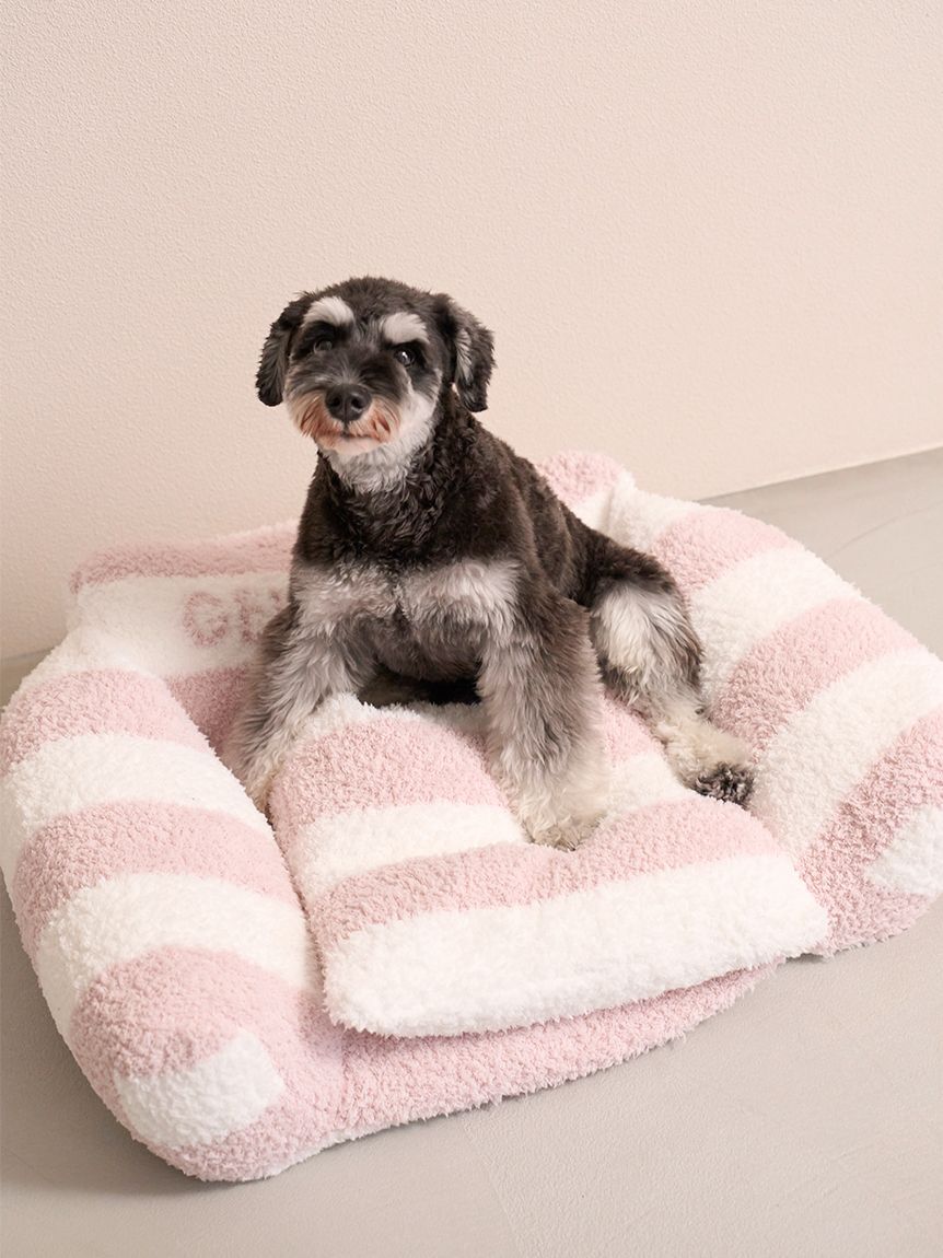  GELATO PIQUE CAT&DOG「【CAT&DOG】ジェラートソファ型ベッドL」|その他|