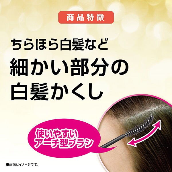  「サロン ド プロ カラーオンリタッチ 白髪かくしEX ダークブラウン 本体 (15mL)」|ヘアスタイリング|
