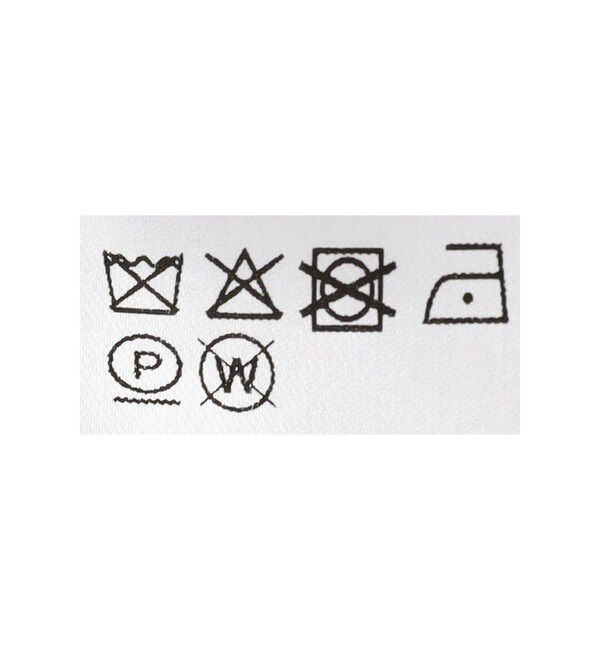 Ray BEAMS 「GHOSPELL / Arina Floral Shirt」|シャツ・ブラウス|