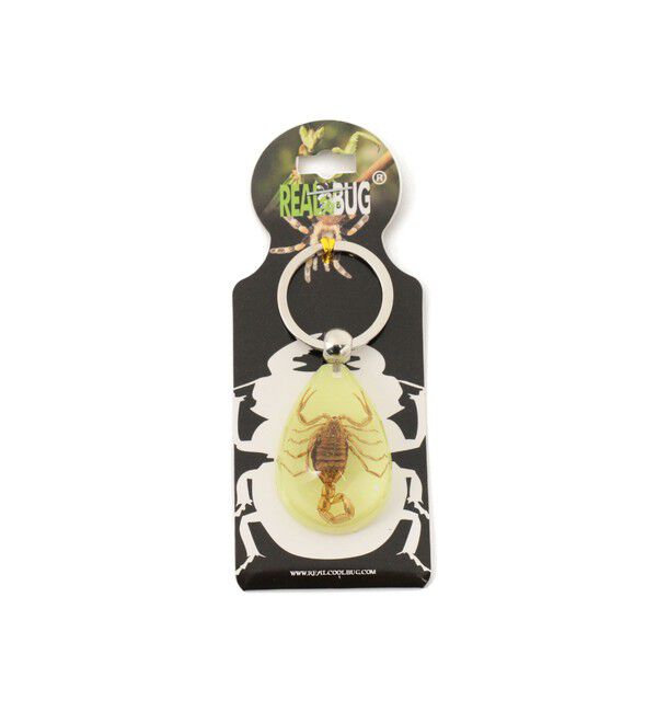 BEAMS「R/B_DROP_K/CHAIN」|その他|