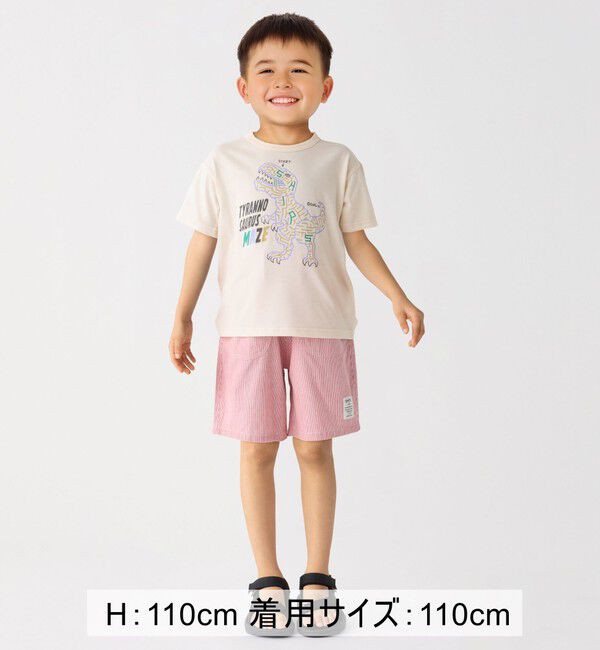 SHIPS Colors 「SHIPS Colors:80～130cm / 〈接触冷感〉ティラノサウルス Tシャツ◇」|Tシャツ・カットソー|