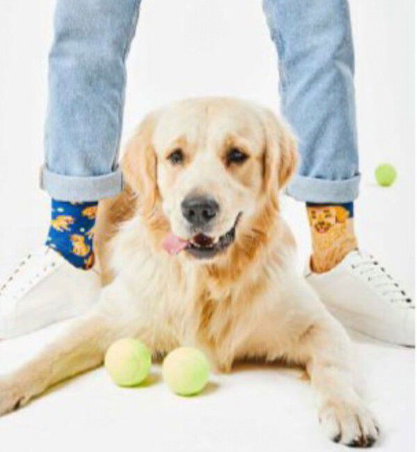 GLOSTER「【MANY MORNINGS/メニーモーニングス】-Animals- アニマルソックス」|ソックス|