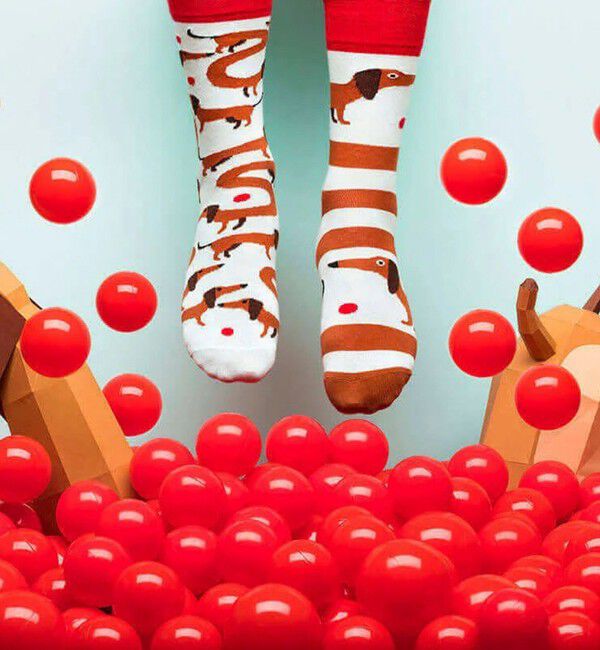 GLOSTER「【MANY MORNINGS/メニーモーニングス】-Animals- アニマルソックス」|ソックス|