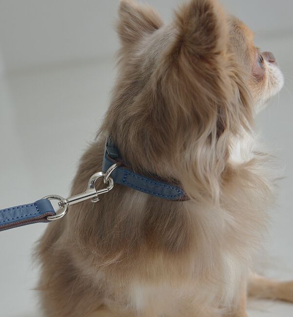 LOWELL things「MATIE/小型犬/首輪【Direction by  有末 麻祐子】」|その他|