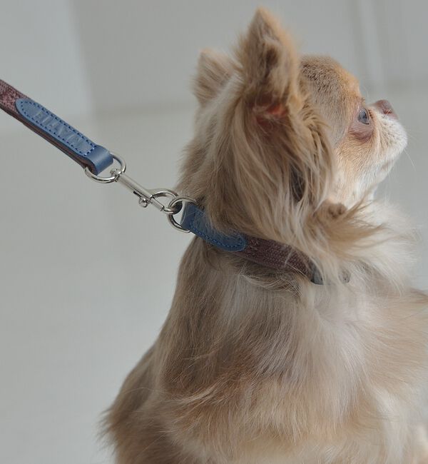 LOWELL things「MATIE/小型犬/ショートリード【Direction by  有末 麻祐子】」|その他|