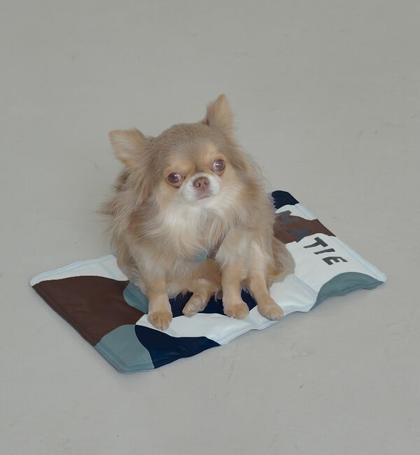 LOWELL things「MATIE/ 保冷ジェルマットL/ペットリュック対応【Direction by」|その他|