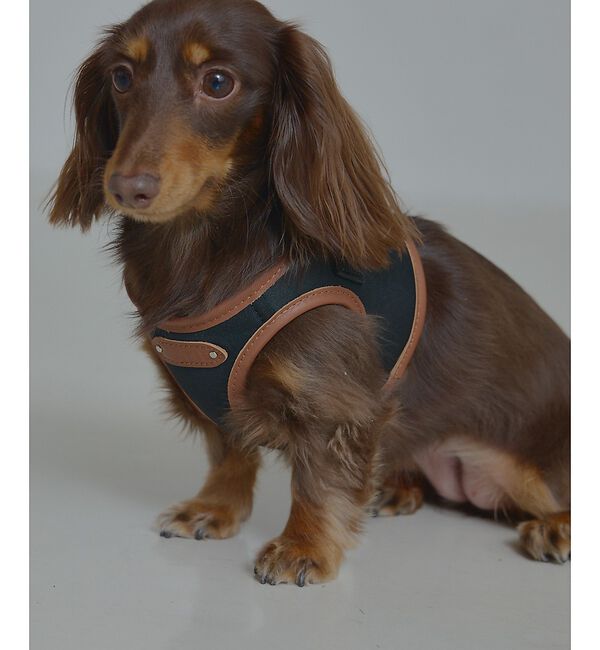 LOWELL things「MATIE/ハーネス(S/M/L)【Direction by 有末麻祐子】」|その他|ブラック