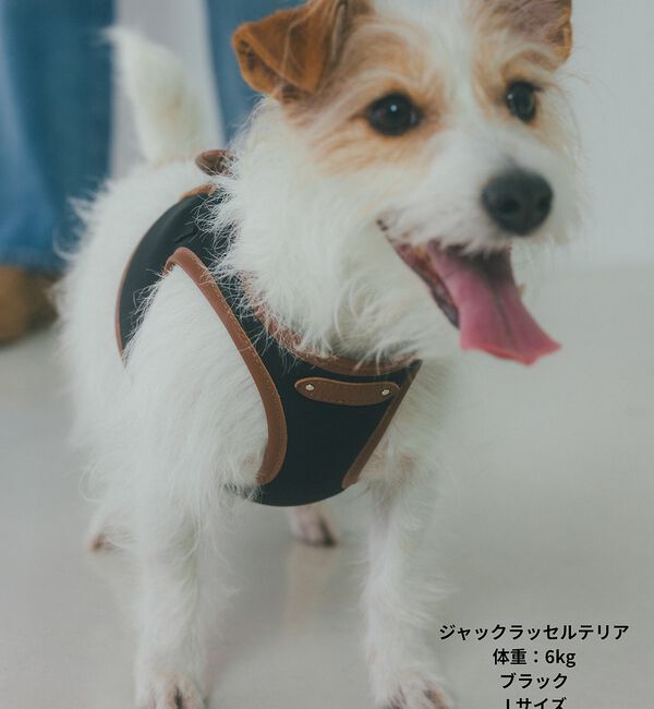 LOWELL things「MATIE/ハーネス(S/M/L)【Direction by 有末麻祐子】」|その他|