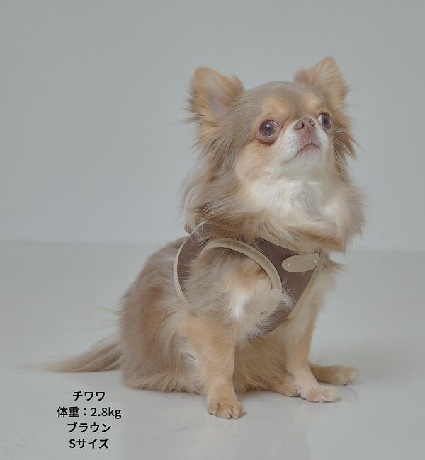 LOWELL things「MATIE/ハーネス(S/M/L)【Direction by 有末麻祐子】」|その他|