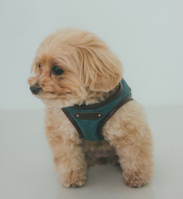 LOWELL things「MATIE/ハーネス(S/M/L)【Direction by 有末麻祐子】」|その他|ブルー