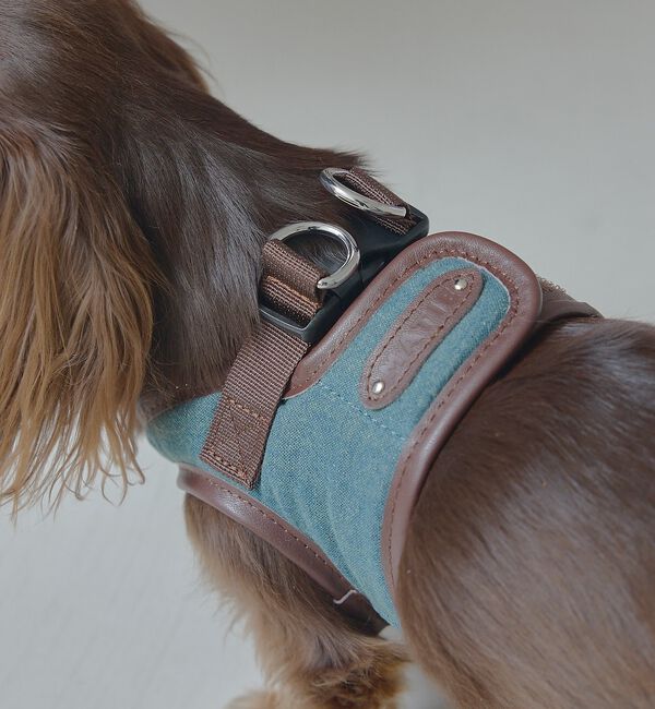 LOWELL things「MATIE/ハーネス(S/M/L)【Direction by 有末麻祐子】」|その他|