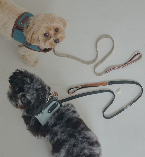 LOWELL things「MATIE/ハーネス(S/M/L)【Direction by 有末麻祐子】」|その他|