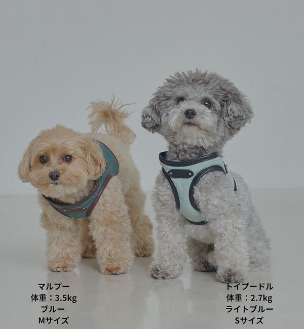 LOWELL things「MATIE/ハーネス(S/M/L)【Direction by 有末麻祐子】」|その他|