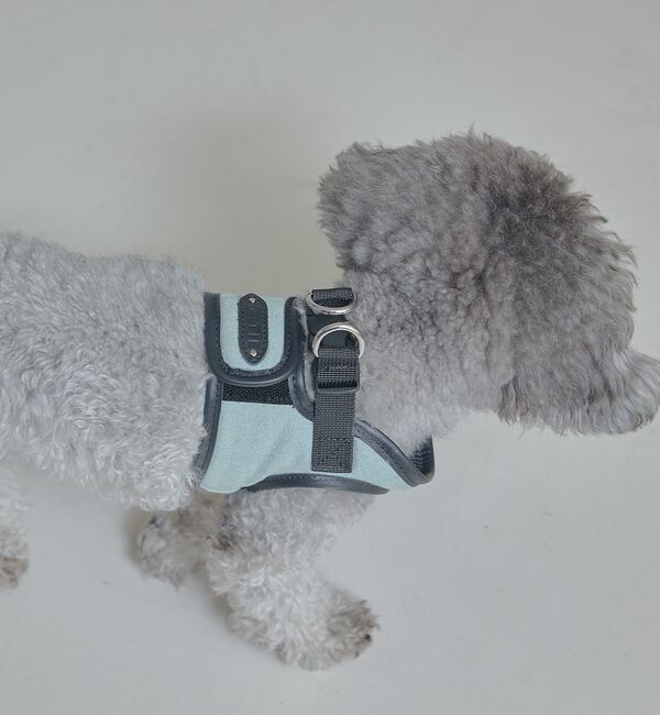 LOWELL things「MATIE/ハーネス(S/M/L)【Direction by 有末麻祐子】」|その他|