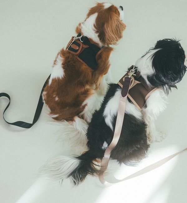 LOWELL things「MATIE/中型犬/ショートリード【Direction by 有末 麻祐子】」|その他|