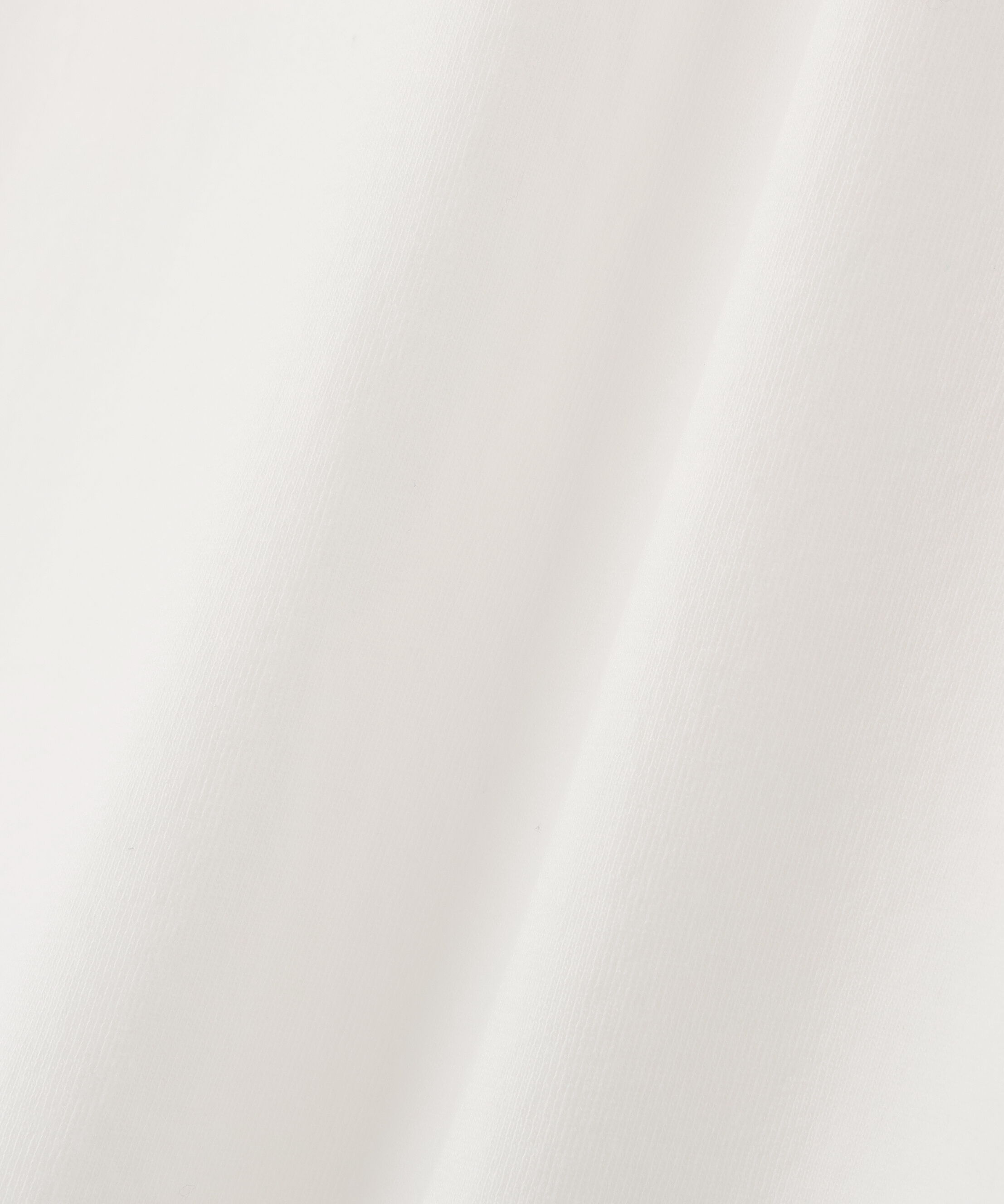 YLEVE 「Ｙ / ORGANIC COTTON JERSEY MOCK NECK SHORT SLEEVE T-SHIRT」|Tシャツ・カットソー|