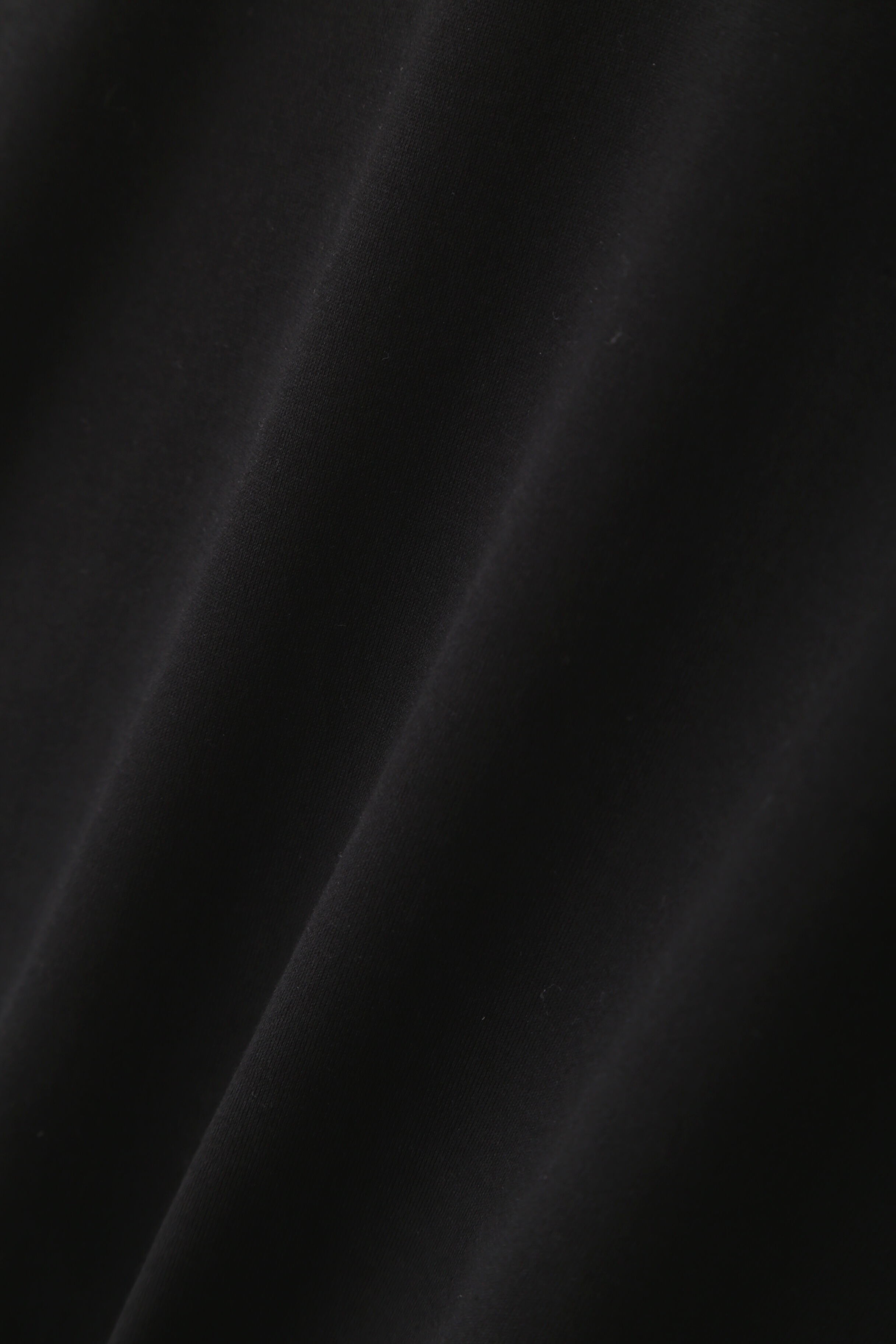 YLEVE 「YLEVE / SUVIN COTTON TURTLE」|Tシャツ・カットソー|