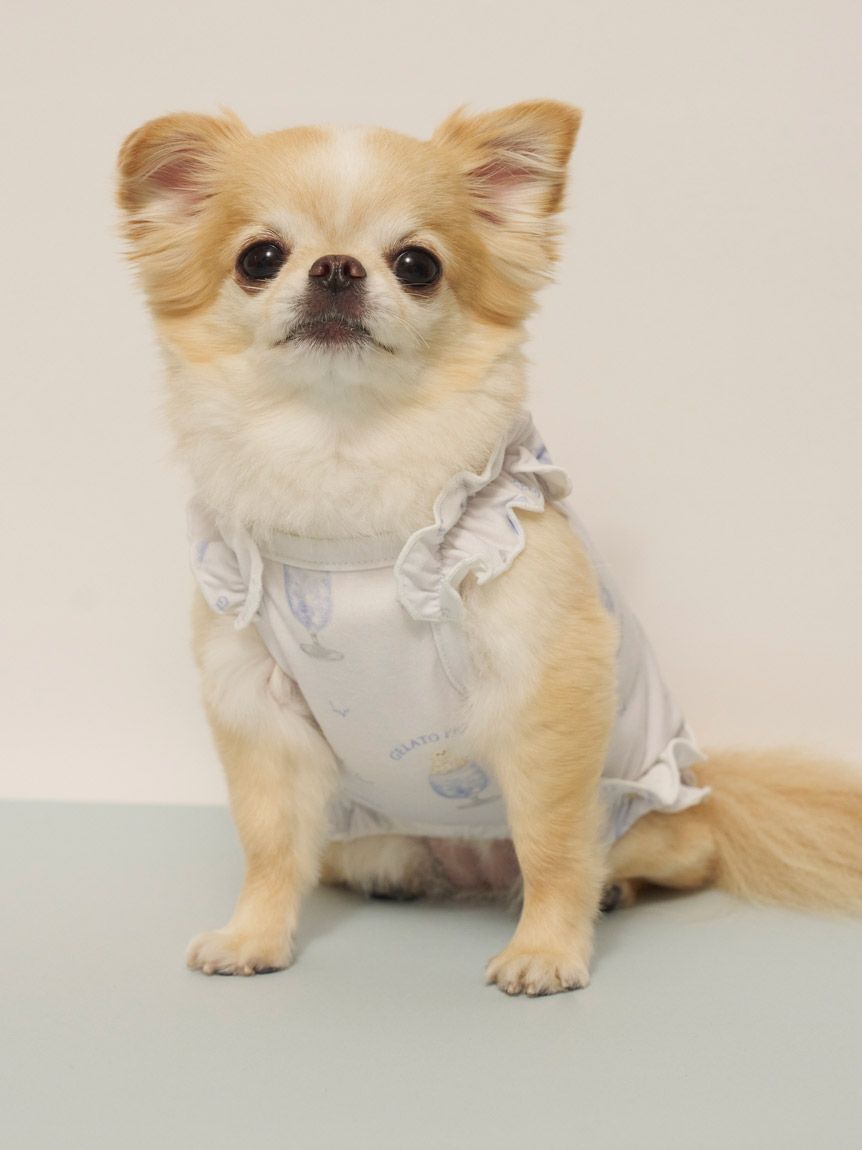  GELATO PIQUE CAT&DOG「【CAT&DOG】【接触冷感】シロクマひんやりスイーツ柄 Coolingフリルプルオーバー」|その他|