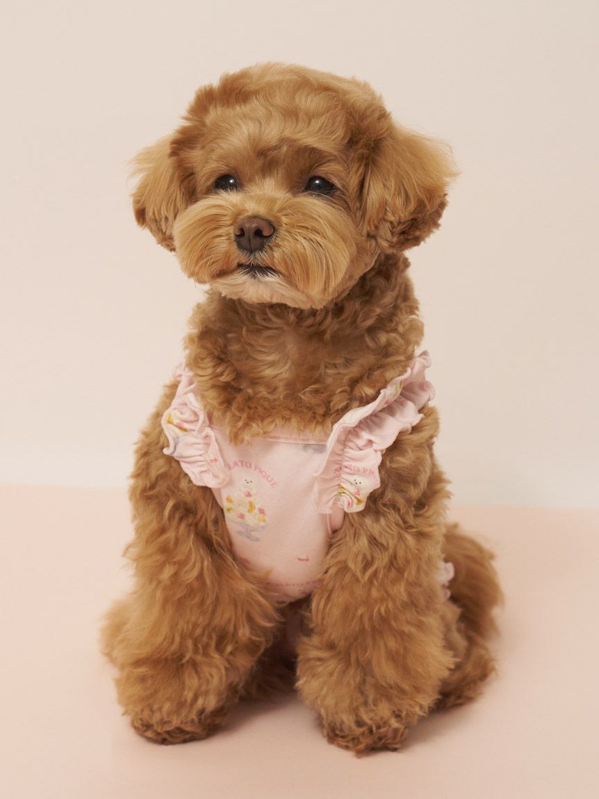  GELATO PIQUE CAT&DOG「【CAT&DOG】【接触冷感】シロクマひんやりスイーツ柄 Coolingフリルプルオーバー」|その他|