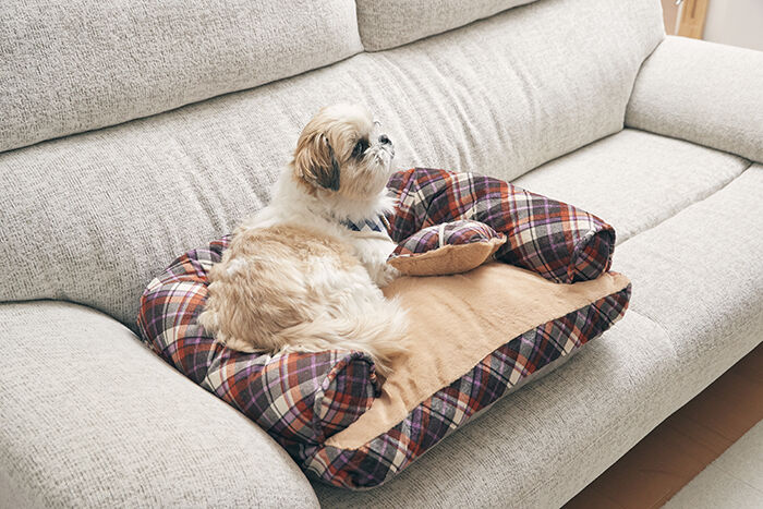 BACKYARD FAMILY「ペットベッド ふわふわ 楽天 小型犬 ベッド 犬用 猫用 あご のせ アンファンス EF-PT06」|その他|