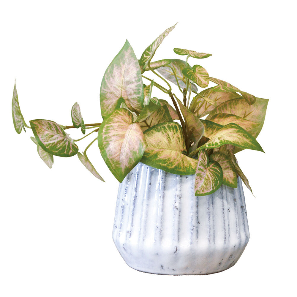 BACKYARD FAMILY「光触媒 フェイクグリーン 通販 人工観葉植物 イミテーショングリーン インテリアグリーン 消臭」|その他|グリーン1