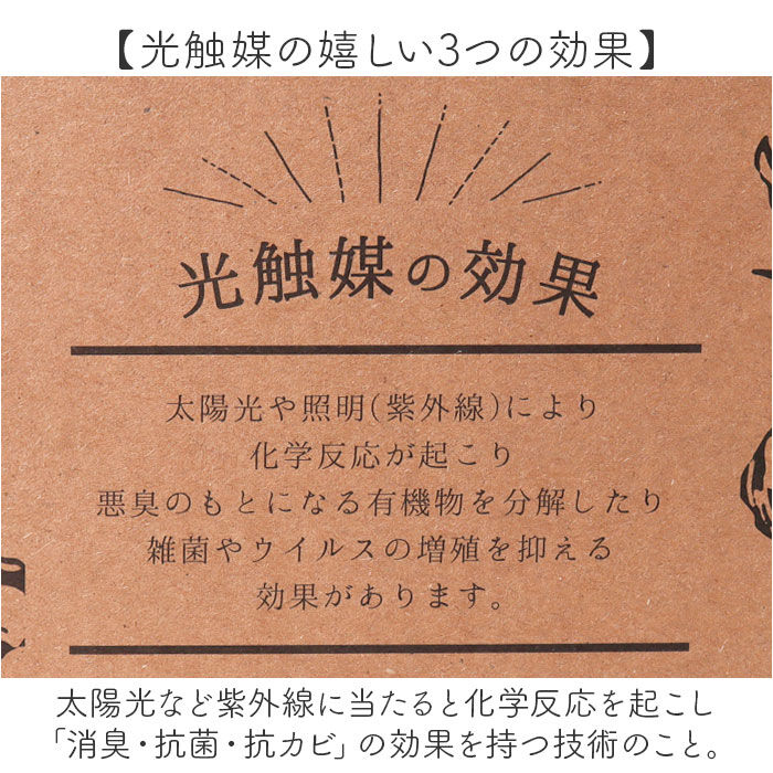 BACKYARD FAMILY「光触媒 フェイクグリーン 通販 人工観葉植物 イミテーショングリーン インテリアグリーン 消臭」|その他|