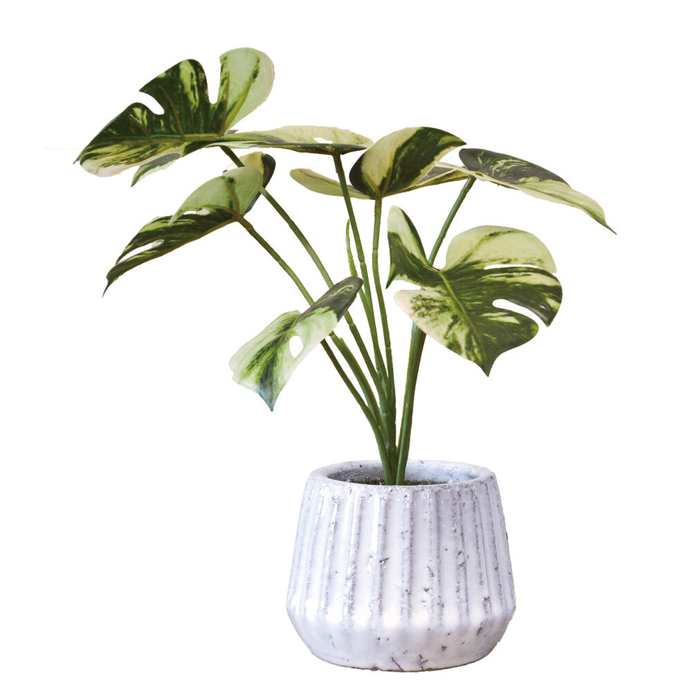 BACKYARD FAMILY「光触媒 フェイクグリーン 通販 人工観葉植物 イミテーショングリーン インテリアグリーン 消臭」|その他|グリーン3