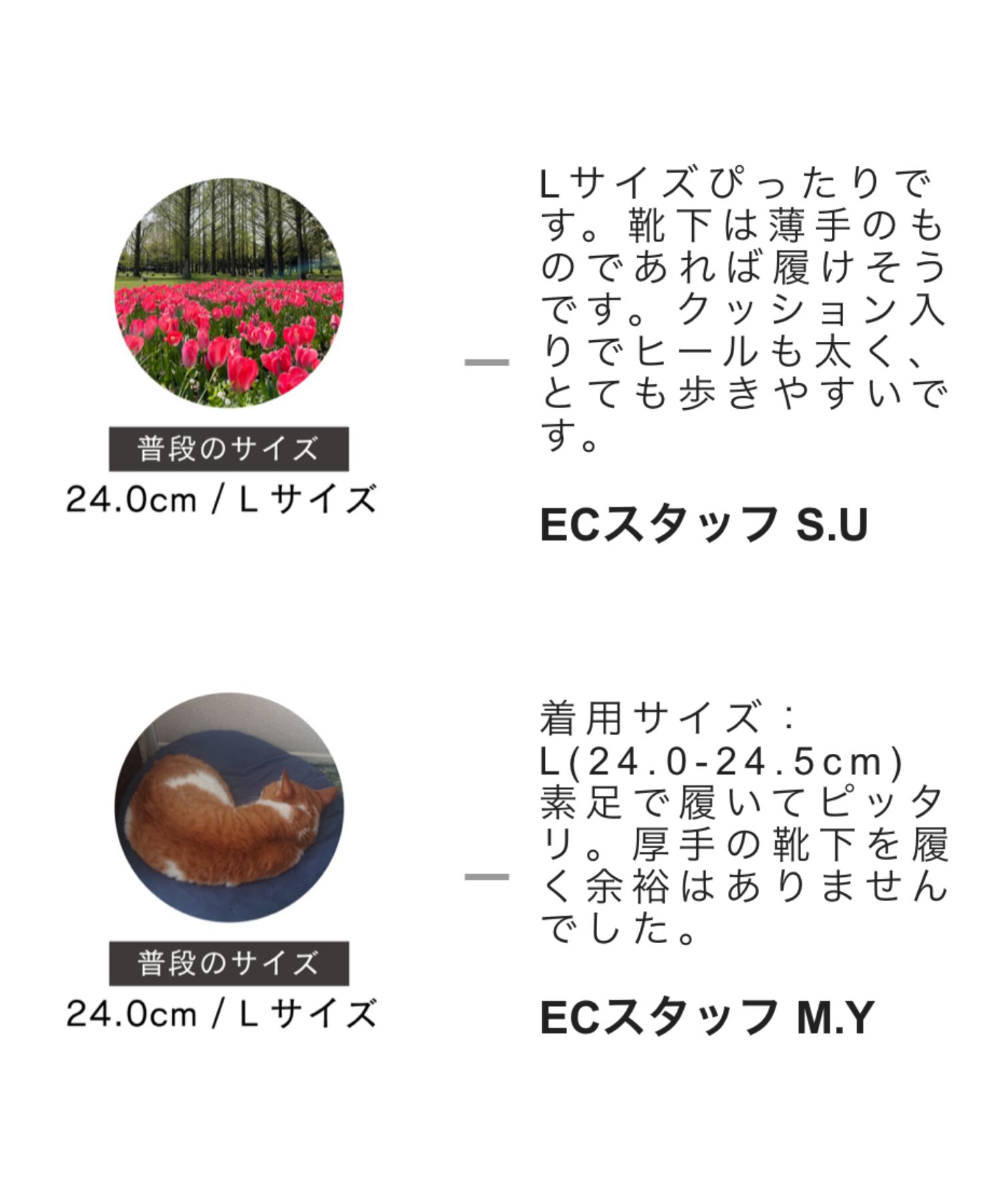 ORiental TRaffic「変形 ヒール ラウンドトゥ ショートブーツ /41405 太ヒール ヒール6.3ｃｍ」|ショートブーツ|