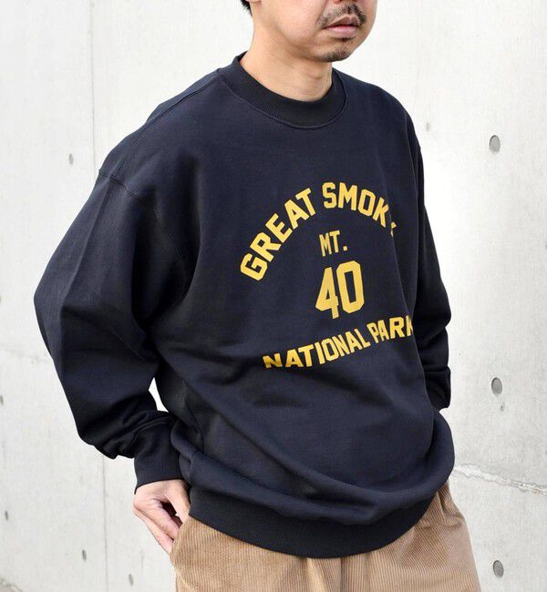 SHIPS any「【WEB限定】SHIPS any: NATIONAL PARK プリント スウェット 23AW◇」|スウェット・ジャージ|