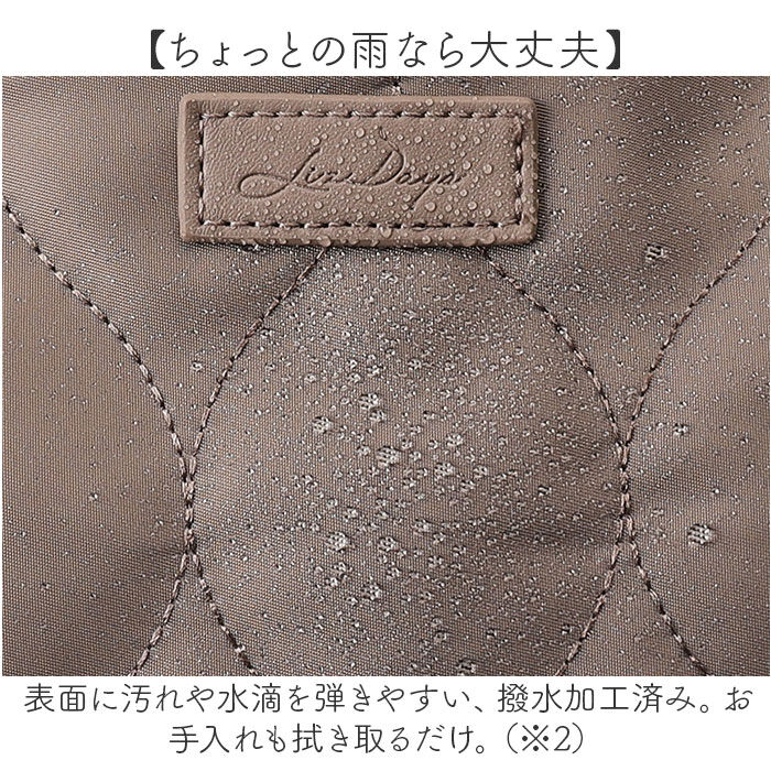 BACKYARD FAMILY「LIZDAYS リズデイズ ナイロン リュックサック 通販 リュック デイパック バックパック」|リュック|