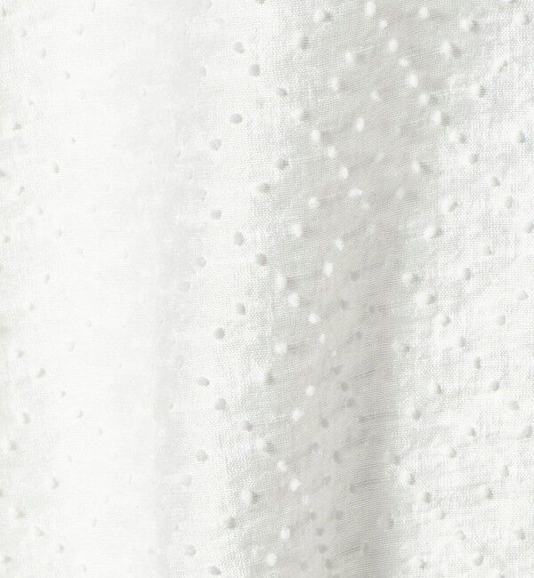 BEAUTY&YOUTH UNITED ARROWS「ピンドット シアージャガード ブラウス ウォッシャブル」|シャツ・ブラウス|